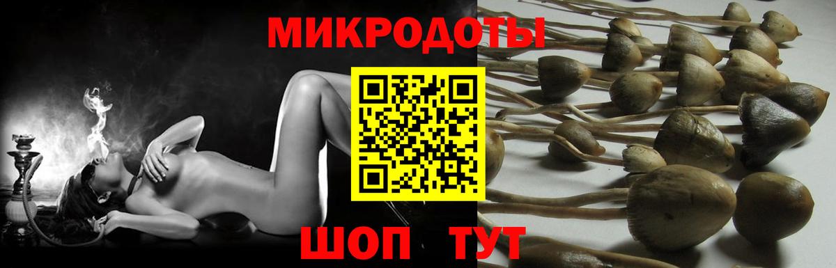 где продают   Вход с VPN  Благодарный  Псилоцибиновые грибы мухоморы  Псилоцибиновые грибы ЛСД 